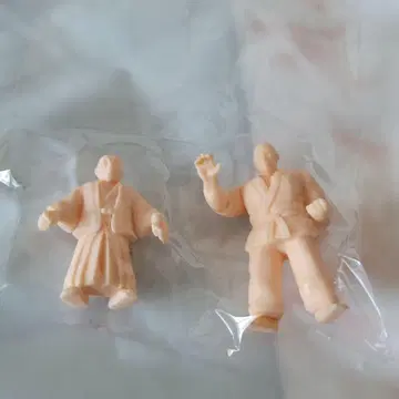바늘을 깎는 바늘깎이, 도쿠가와 코세이