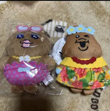 빤쮸토끼 뚱보 갸루 일광화상
