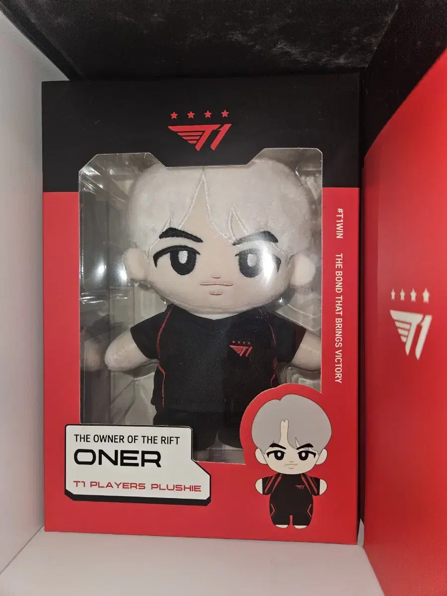 T1 Owner doll, sealed, wts