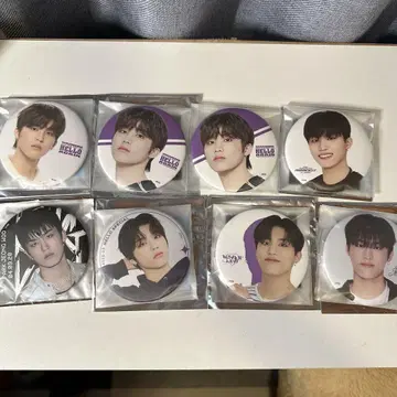 treasure 정우 캔뱃지 세트