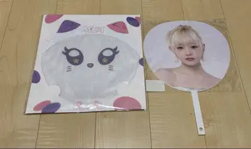 미아이 부채 케이스 이타 시즈키 세트로