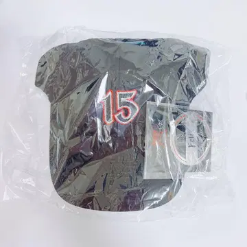 가격 인하 불가 캡 필릭스 15