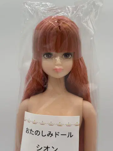 오타즈미 인형 시온 리카짱 캐슬 리틀 팩토리 제니