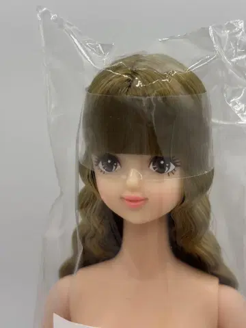 즐거운 인형 사야카 리카짱 캐슬 리틀 팩토리