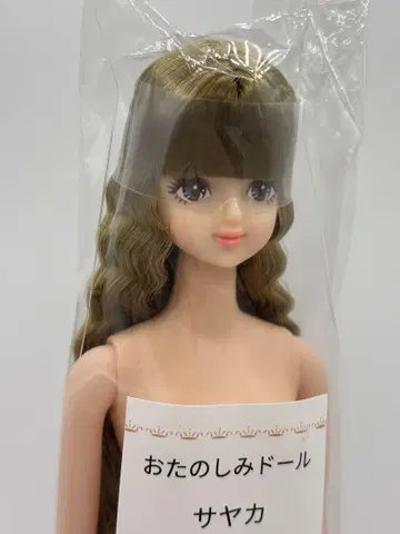 즐거운 인형 사야카 리카짱 캐슬 리틀 팩토리
