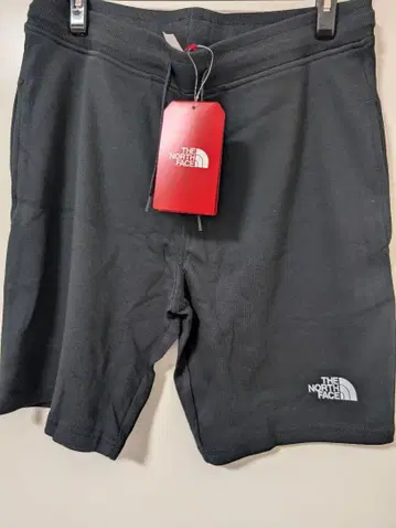 THE NORTH FACE 그래픽 숏 팬츠 L 사이즈