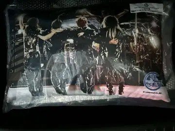 GLAY 엔터테인먼트 복권 라스트 상 쿠션