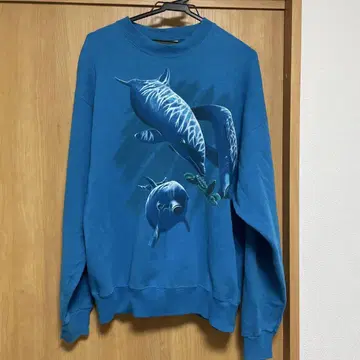 Hanes 파랑 돌고래와 바다거북 프린트 트레이닝복