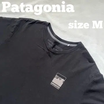 Patagonia 알파인 아이콘 리제너레이티브 오가닉 코튼 T