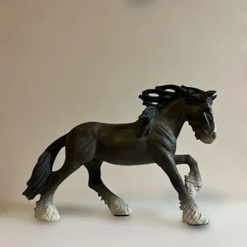 말 슐라이히