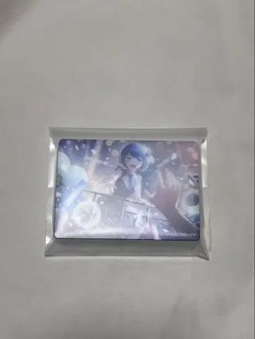 프로세카 노블 vol.49 오동나무 하야