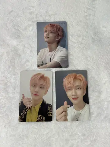 SEVENTEEN 세부치 조슈아 춤추듯 떨어지는 꽃잎