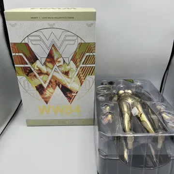 핫토이즈 1/6 피규어 원더우먼 소체 검 여성 파이센