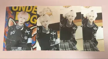 UNDER DOG 세나 브로마이드 4장 묶음 판매