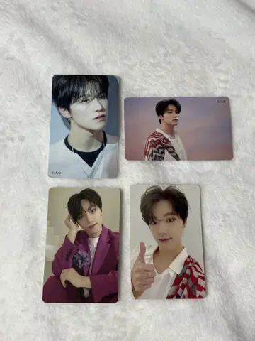 SEVENTEEN 세부치 디노 춤추듯 떨어지는 꽃잎