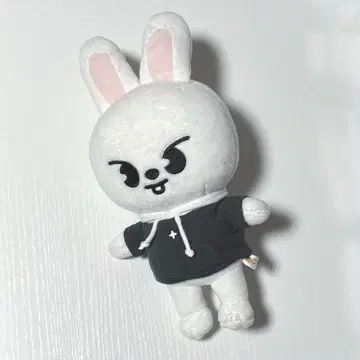 straykids 스키즈 skzoo Lee 비트 봉제 인형