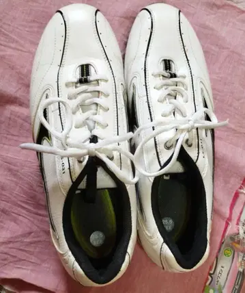 미즈노 골프화 25.5cm