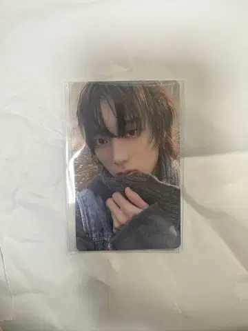 Boynextdoor 송호 weverse 라키드로 당첨 트레이딩 카드