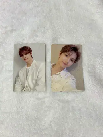 세븐틴 세부치 준 24H