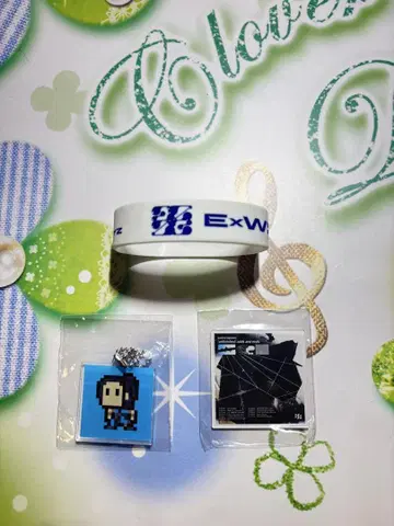ExWHYZ 쓰레기 투어