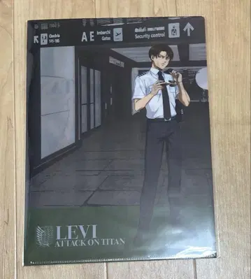 진격의 거인 스타 플라이어 클리어 파일 리바이