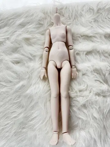 돌피드림 MDD DD-f3 세미 화이트