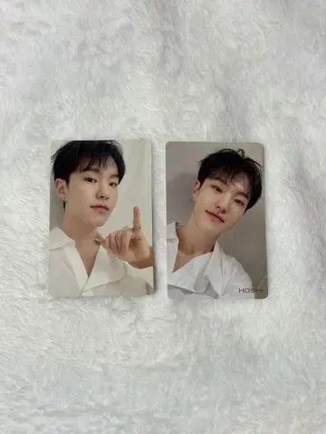 SEVENTEEN 세부치 호시 24H