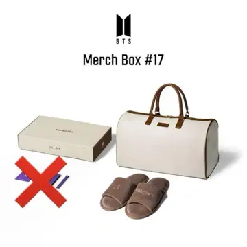 BTS Merch Box #17 V 태현