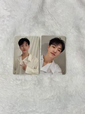 SEVENTEEN 세부치 호시 24H
