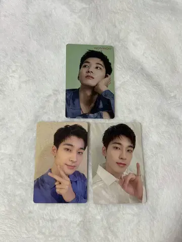 세븐틴 세부치 원우 24H