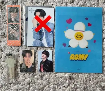 지훈 트레저 로미 트루즈 세트