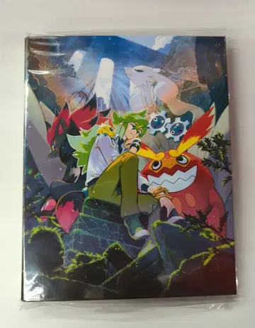 Pokemon 공급 파일만 컬렉션 파일 N 단품