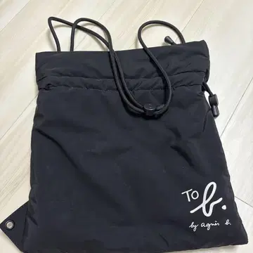애니에스 b 백