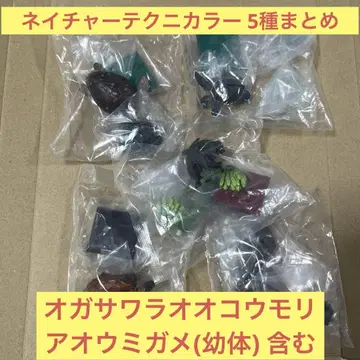 네이처 테크니컬러 오가사와라 오코모리 아오우미가메 포함 5종