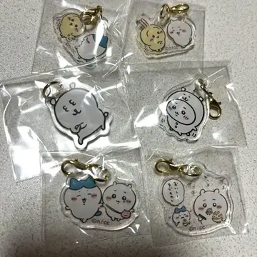 치이카와 참 치이카와 하치와레 토끼 나가노 곰