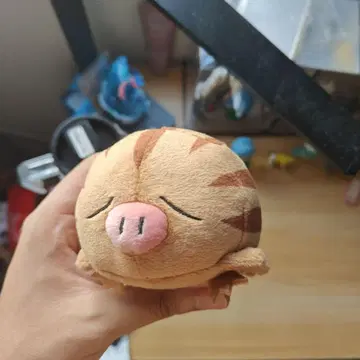 택 포함 포켓몬 센터 Pokemon Fit 우리무 봉제 인형