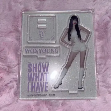 ive show what I have 원영 아크릴 스탠드