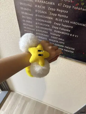 유니버셜 스타 마리오