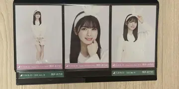 츠츠이 아야메 브로마이드 토끼 Happy New Year! 2023