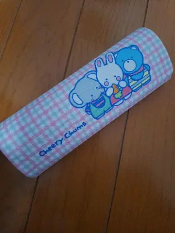 치어리 참 안경 케이스