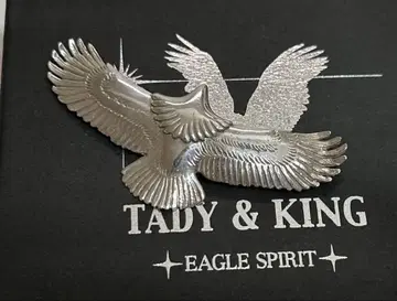 TADY&KING 전은 이글 SV