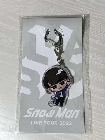 SnowMan 와타나베 쇼타 스노우 칠 교수형 시리즈 아크릴 키링