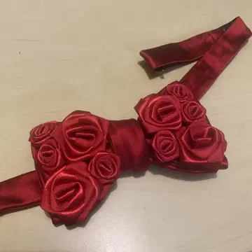 지라프 기린 로즈 나비 넥타이