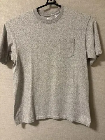 ANATOMICA 아나토미카 포켓 T made in usa 그레이 L
