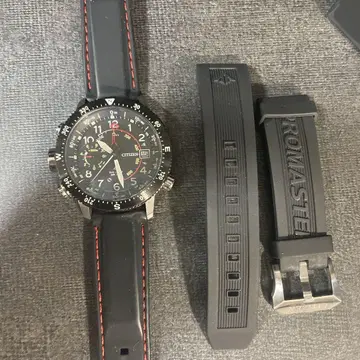 시티즌 Eco-Drive 프로 마스터 알티크론