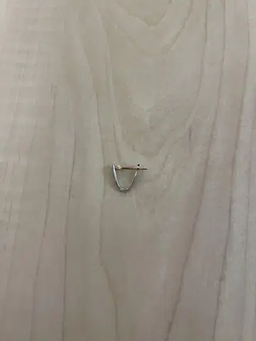 CAREERING 커리어링 fragment 후지와라 히로시 귀걸이