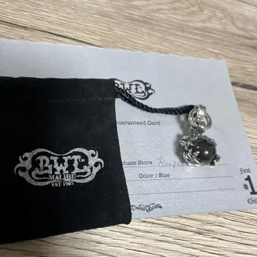 빌 월 가죽 BWL 탑
