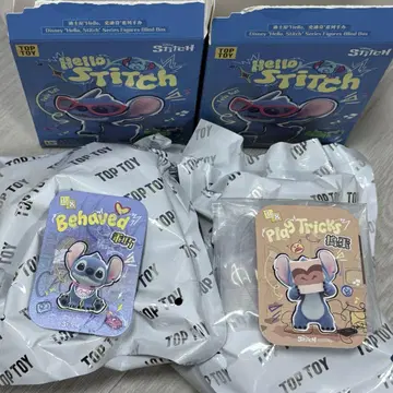 Wild Stitch 스티치 2개 세트