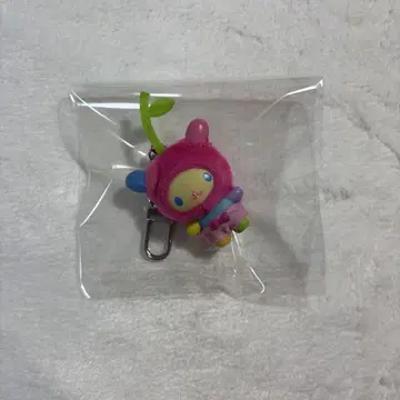 조금이라도 토끼꽃 과일