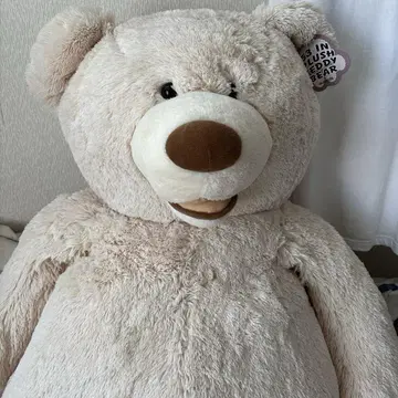 코스트코 곰 135cm